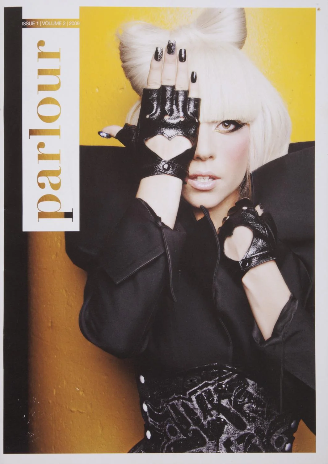 Lady Gaga Magazine Photoshoot Worn Faux Snake Skin Graffiti Style Corset - Image 7
