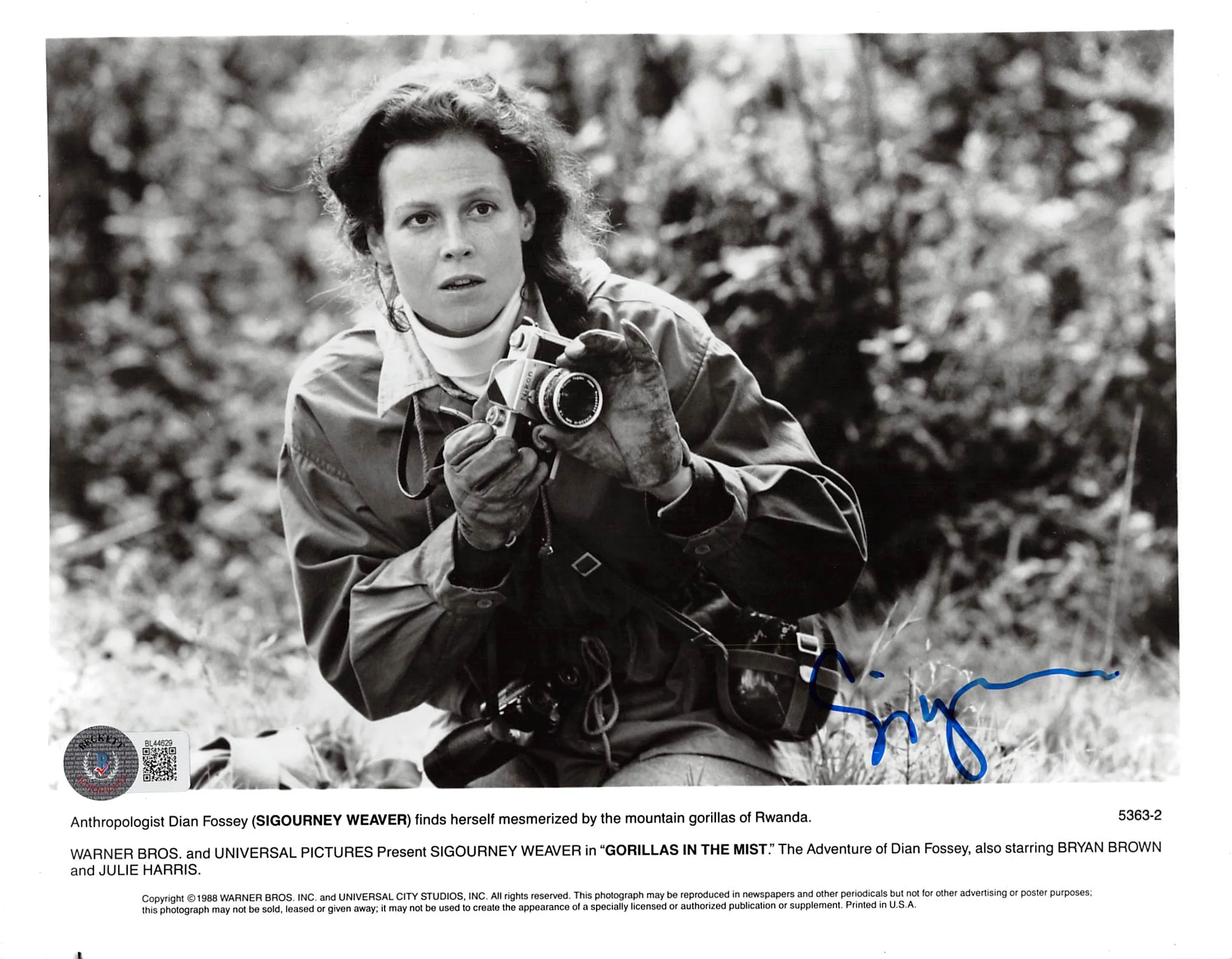 Sigourney Weaver Gorillas in the Mist Authentic Signed 8x10 Photo BAS #BL44629 - Image 2