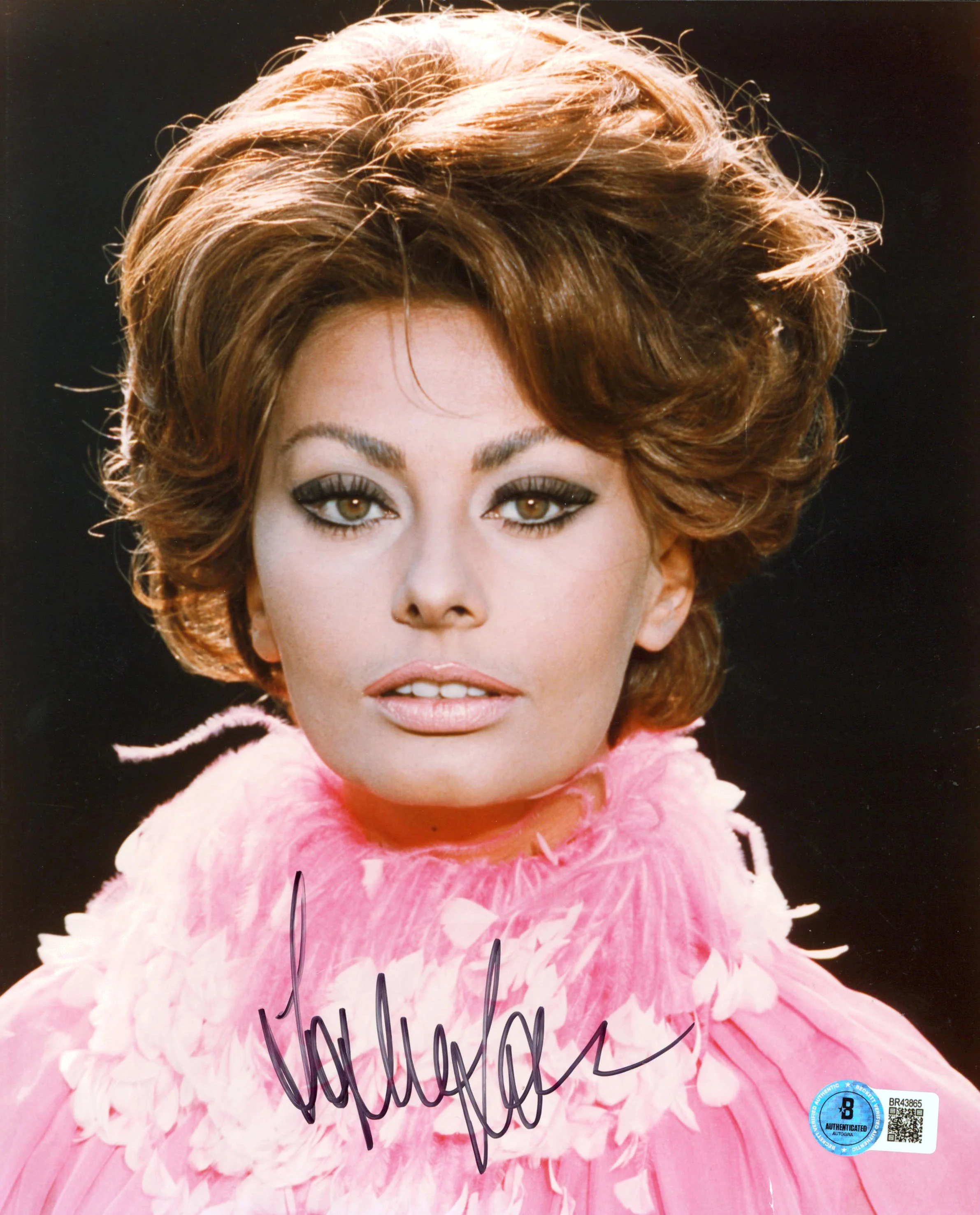 Sophia Loren Authentic Signed 8x10 Sexy Vertical Photo Autographed BAS #BR43865 - Image 2